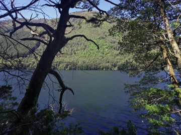 PUCÓN-HUERQUEHUE Parcelas Lago Tinquilco