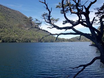 PUCÓN-HUERQUEHUE Parcelas Lago Tinquilco