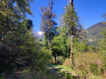 PUCÓN-HUERQUEHUE Parcelas Lago Tinquilco