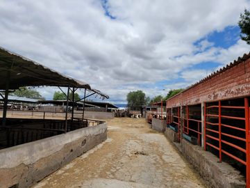 Rancho Ganadero en Venta en San José Iturbide, Guanajuato