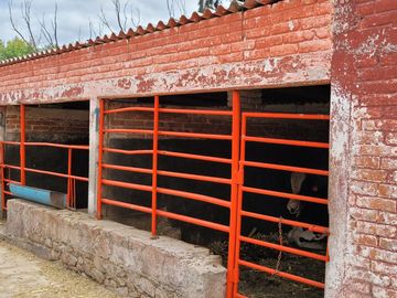 Rancho Ganadero en Venta en San José Iturbide, Guanajuato