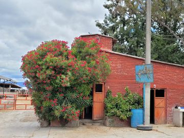 Rancho Ganadero en Venta en San José Iturbide, Guanajuato