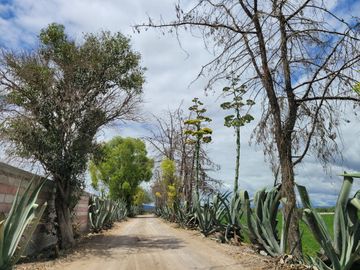 Rancho Ganadero en Venta en San José Iturbide, Guanajuato