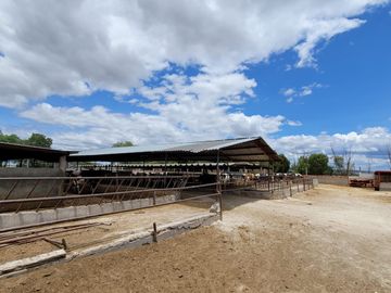 Rancho Ganadero en Venta en San José Iturbide, Guanajuato