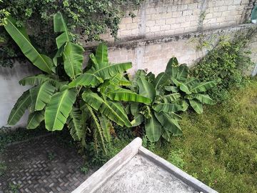 Casa en vemta en Xochitepec, Morelos