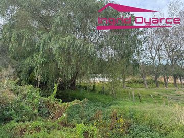 VENDO HERMOSA PARCELA DE 2 HAS EN COLONIA BERNARDO OHIGGINS SECTOR PARQUE LANTAÑO