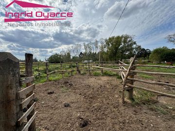 VENDO HERMOSA PARCELA DE 2 HAS EN COLONIA BERNARDO OHIGGINS SECTOR PARQUE LANTAÑO