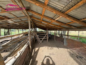 VENDO HERMOSA PARCELA DE 2 HAS EN COLONIA BERNARDO OHIGGINS SECTOR PARQUE LANTAÑO