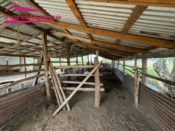 VENDO HERMOSA PARCELA DE 2 HAS EN COLONIA BERNARDO OHIGGINS SECTOR PARQUE LANTAÑO