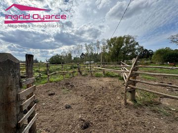 VENDO HERMOSA PARCELA DE 2 HAS EN COLONIA BERNARDO OHIGGINS SECTOR PARQUE LANTAÑO