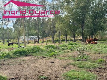 VENDO HERMOSA PARCELA DE 2 HAS EN COLONIA BERNARDO OHIGGINS SECTOR PARQUE LANTAÑO