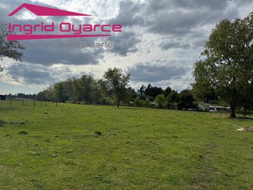 VENDO HERMOSA PARCELA DE 2 HAS EN COLONIA BERNARDO OHIGGINS SECTOR PARQUE LANTAÑO