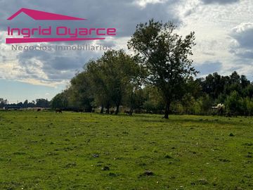 VENDO HERMOSA PARCELA DE 2 HAS EN COLONIA BERNARDO OHIGGINS SECTOR PARQUE LANTAÑO