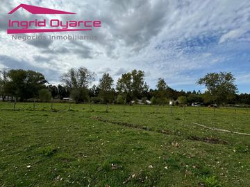 VENDO HERMOSA PARCELA DE 2 HAS EN COLONIA BERNARDO OHIGGINS SECTOR PARQUE LANTAÑO