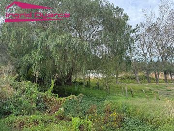 VENDO HERMOSA PARCELA DE 2 HAS EN COLONIA BERNARDO OHIGGINS SECTOR PARQUE LANTAÑO