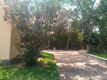 🌿 Exclusiva Casa De Campo En Cieneguilla – 8700 M² De Pura Tranquilidad 🏡✨