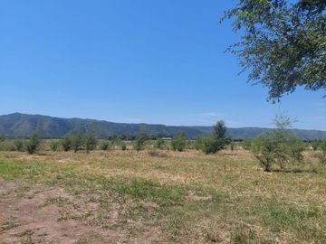 Fracciones de 1 hectárea en venta en Los Reartes 