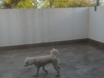 Casa en venta en Punta del Este León, Guanajuato