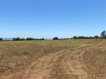 Se vende terreno agricola Sector San Gerardo, comuna de Rio Claro