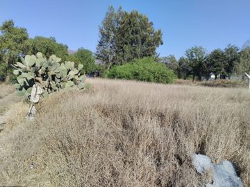 TERRENO EN VENTA ACTOPAN-JIADI