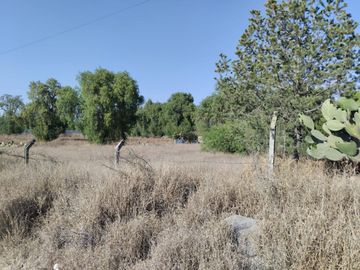 TERRENO EN VENTA ACTOPAN-JIADI