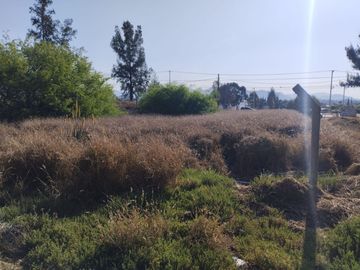TERRENO EN VENTA ACTOPAN-JIADI