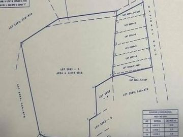 COMMERCIAL LOT FOR SALE  IN CORDOVA CEBU CITY