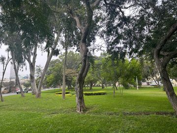 Vendo Casa Como Terreno 1620 m²