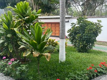 Vendo Casa Como Terreno 1620 m²