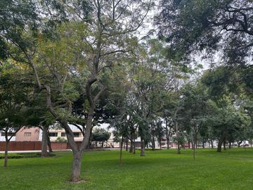 Alquilo Casa Para Oficina