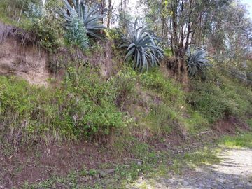 Vendo terreno 1.404 M2, Conocoto, Rivera, puente3