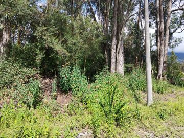 Vendo terreno 1.404 M2, Conocoto, Rivera, puente3