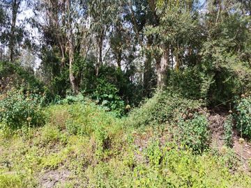 Vendo terreno 1.404 M2, Conocoto, Rivera, puente3