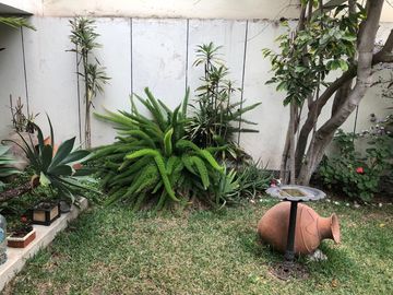 SAN ISIDRO VENDO HERMOSA CASA  CON JARDIN AMPLIO