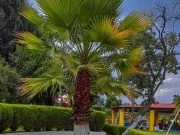 HOTEL BOUTIQUE HACIENDA EN VENTA
