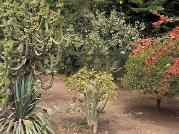 EN VENTA TERRENO CON ALTO POTENCIA DE DESARROLLO EL TABO