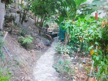 EXCELENTE FINCA VIA A LA MESA CUNDINAMARCA RENTABLE