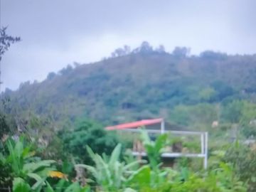 EXCELENTE FINCA VIA A LA MESA CUNDINAMARCA RENTABLE