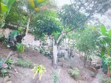 EXCELENTE FINCA VIA A LA MESA CUNDINAMARCA RENTABLE