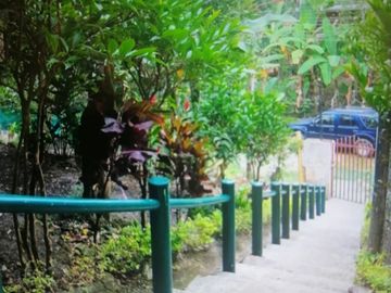 EXCELENTE FINCA VIA A LA MESA CUNDINAMARCA RENTABLE