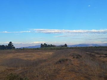 Terreno Agrícola Adjudicado por Banco de 400 ha Santa Rosa de Tabali OVALLE