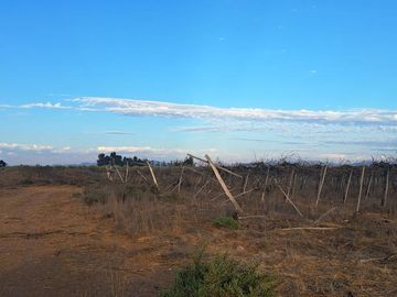 Terreno Agrícola Adjudicado por Banco de 400 ha Santa Rosa de Tabali OVALLE