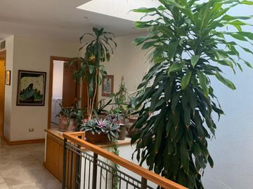 RINCON DE LAS LOMAS II, CASA ESTILO MEXICANA CON ALBERCA EN ESQUINA Y FRENTE A PARQUE