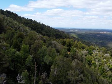 Campo en venta en Purranque de 345 hectáreas, Hueyusca, Región de Los Lagos