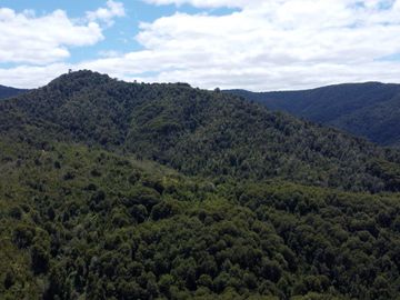 Campo en venta en Purranque de 345 hectáreas, Hueyusca, Región de Los Lagos