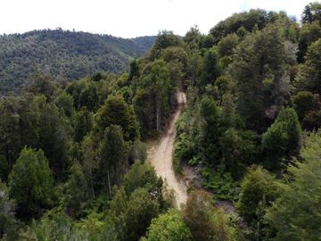 Campo en venta en Purranque de 345 hectáreas, Hueyusca, Región de Los Lagos