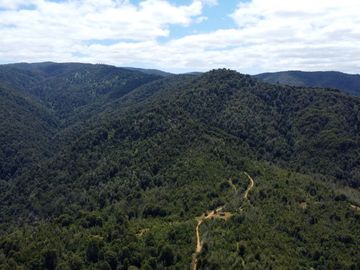 Campo en venta en Purranque de 345 hectáreas, Hueyusca, Región de Los Lagos