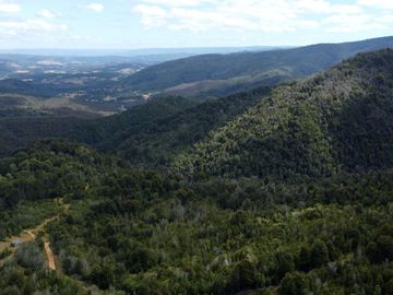 Campo en venta en Purranque de 345 hectáreas, Hueyusca, Región de Los Lagos