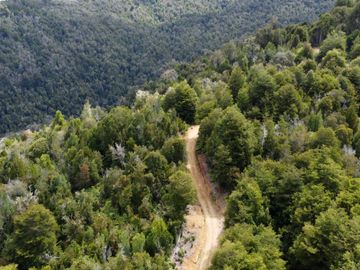 Campo en venta en Purranque de 345 hectáreas, Hueyusca, Región de Los Lagos