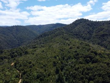 Campo en venta en Purranque de 345 hectáreas, Hueyusca, Región de Los Lagos